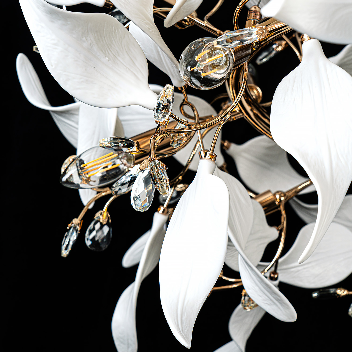 ML.6808.1000P GD (5).jpg