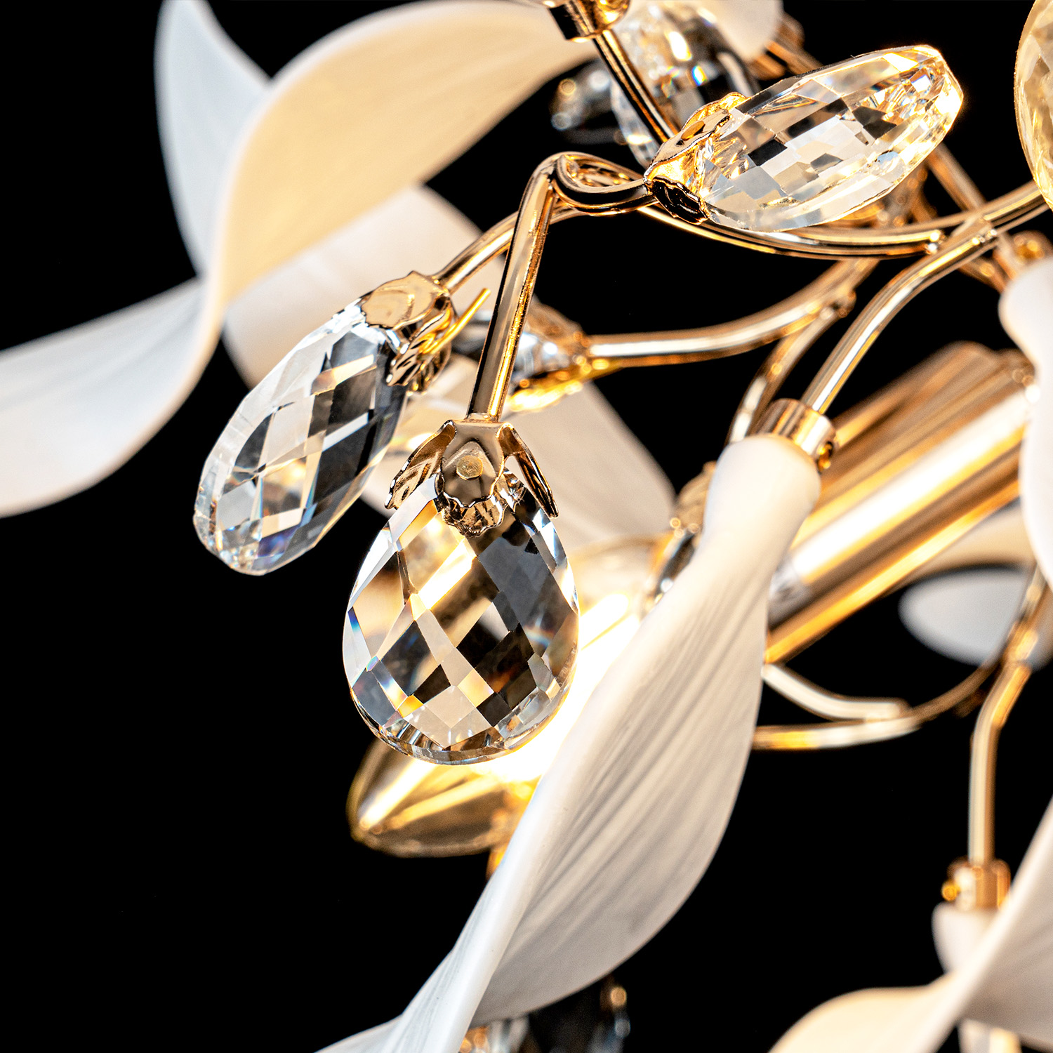 ML.6808.800P GD (4).jpg