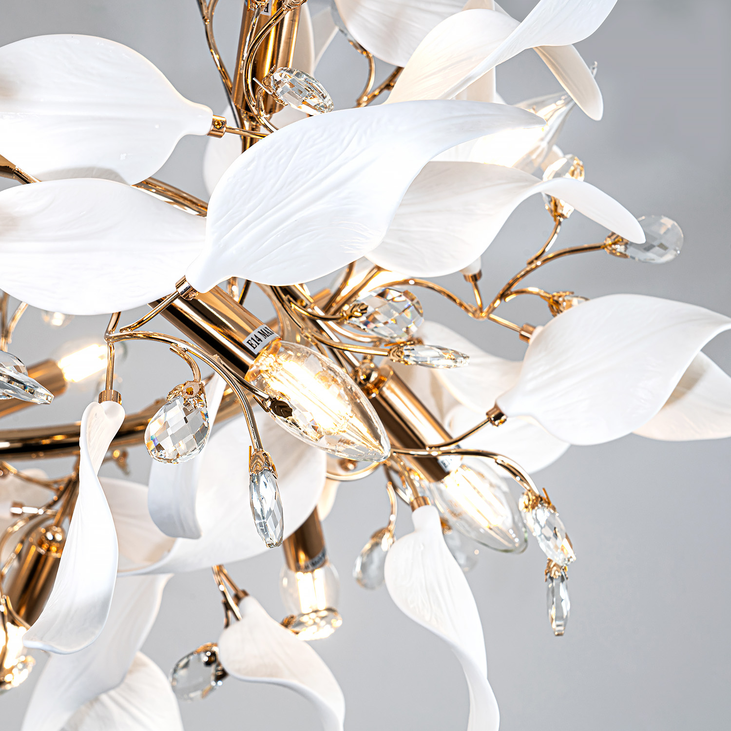 ML.6808.1000P GD (7).jpg