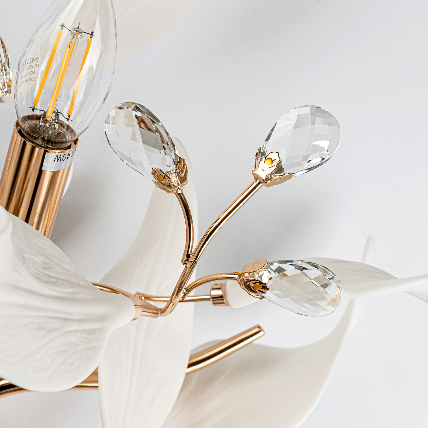 ML.6808.450P GD (4).jpg