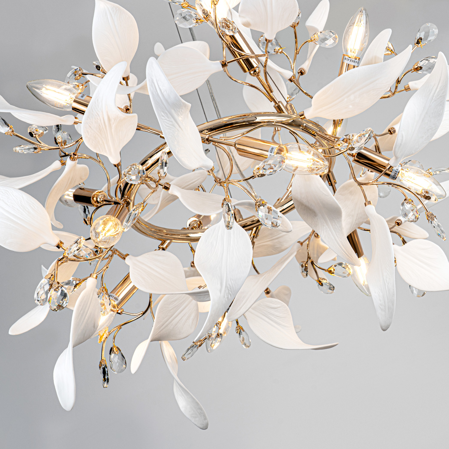 ML.6808.800P GD (8).jpg