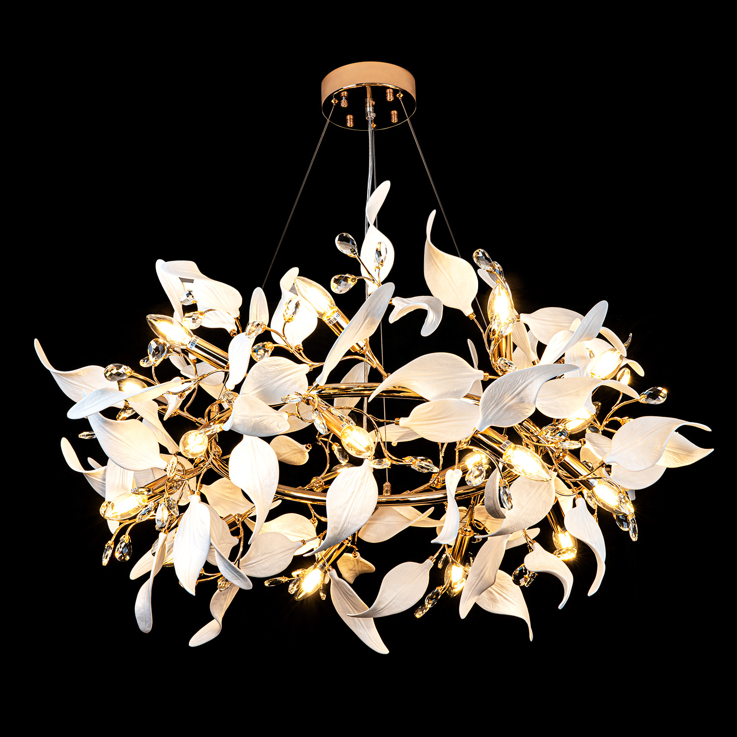 ML.6808.1000P GD (2).jpg