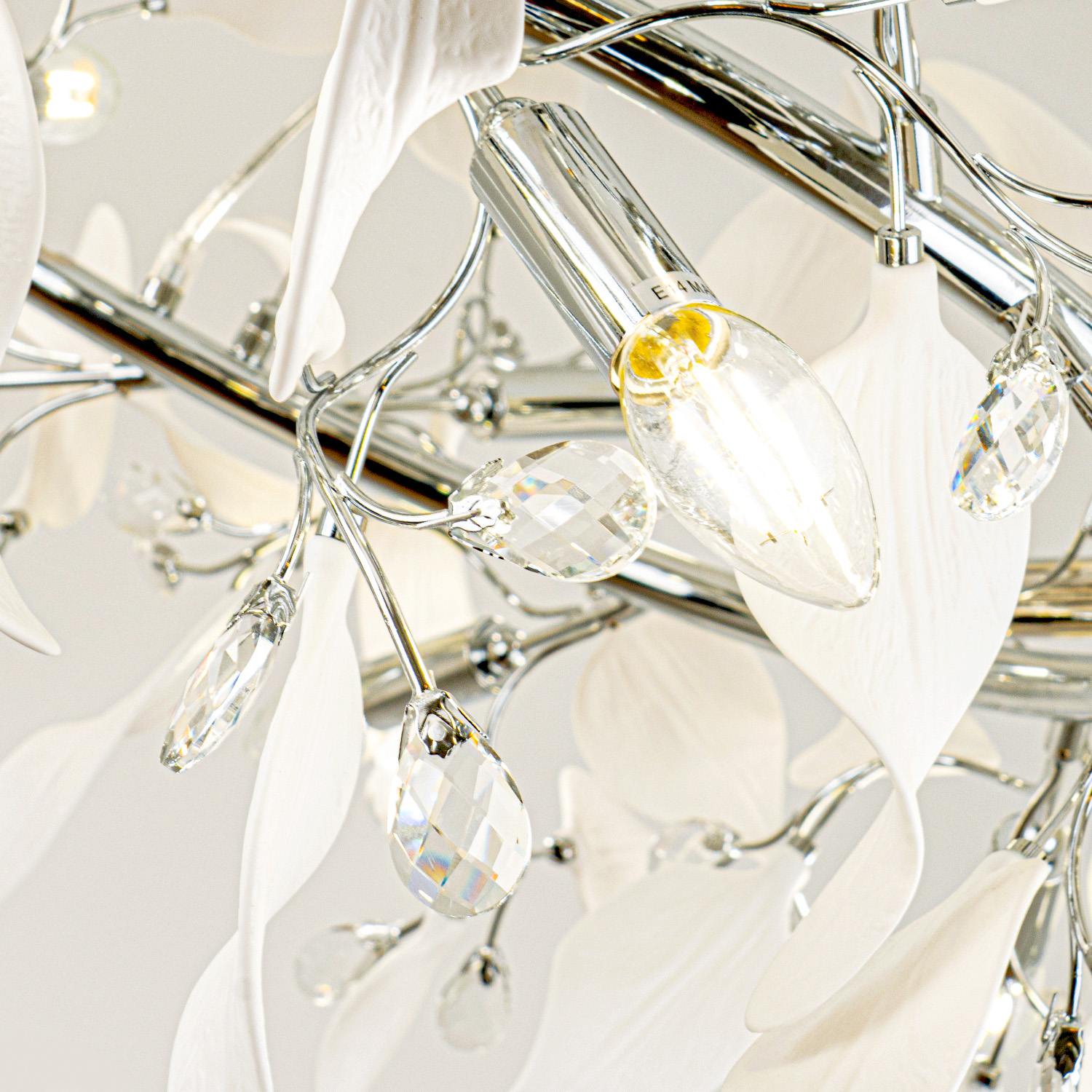 ML.6808.1000P CR (7).jpg