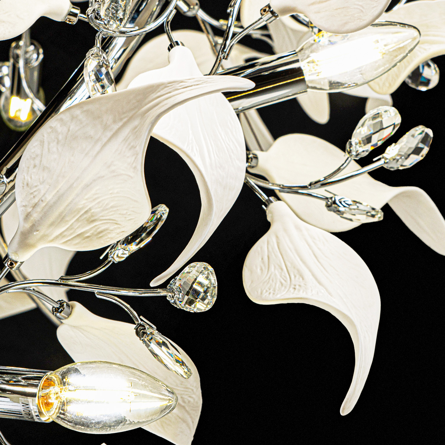 ML.6808.1000P CR (4).jpg