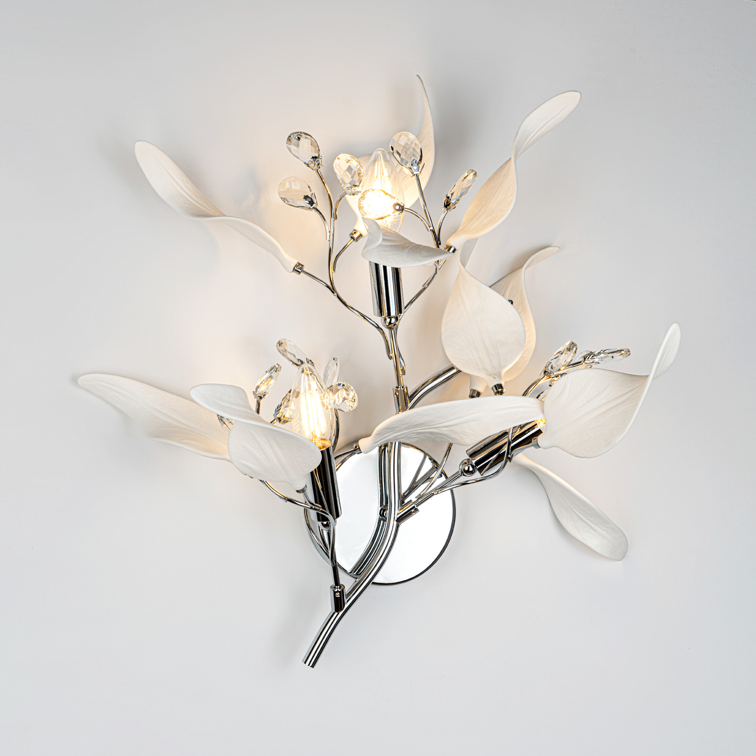 ML.6808.450P CR (2).jpg