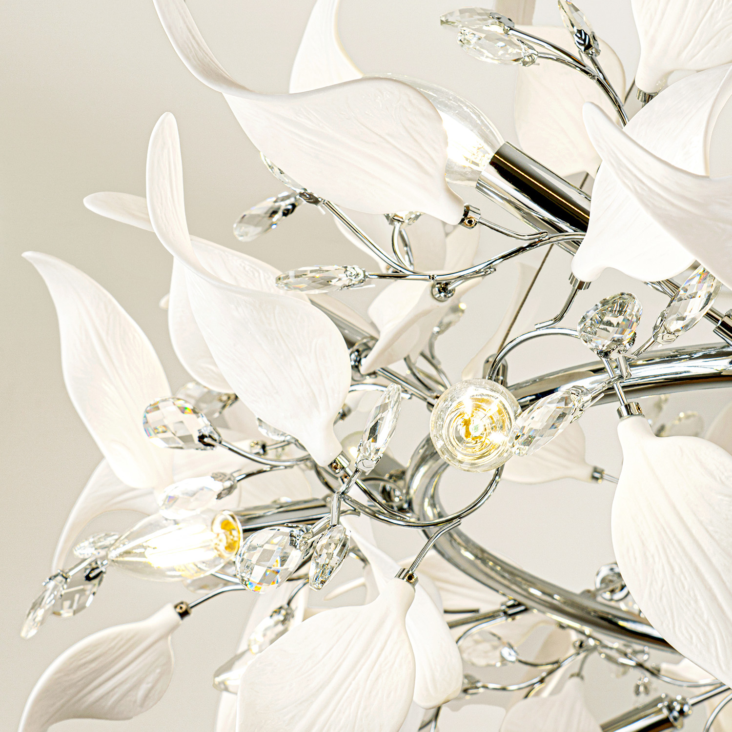 ML.6808.1000P CR (8).jpg