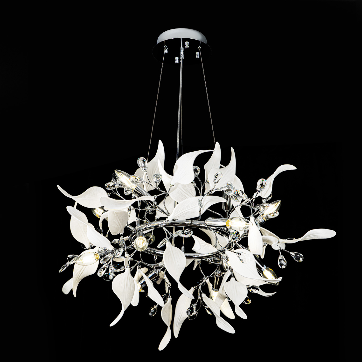 ML.6808.800P CR (2).jpg