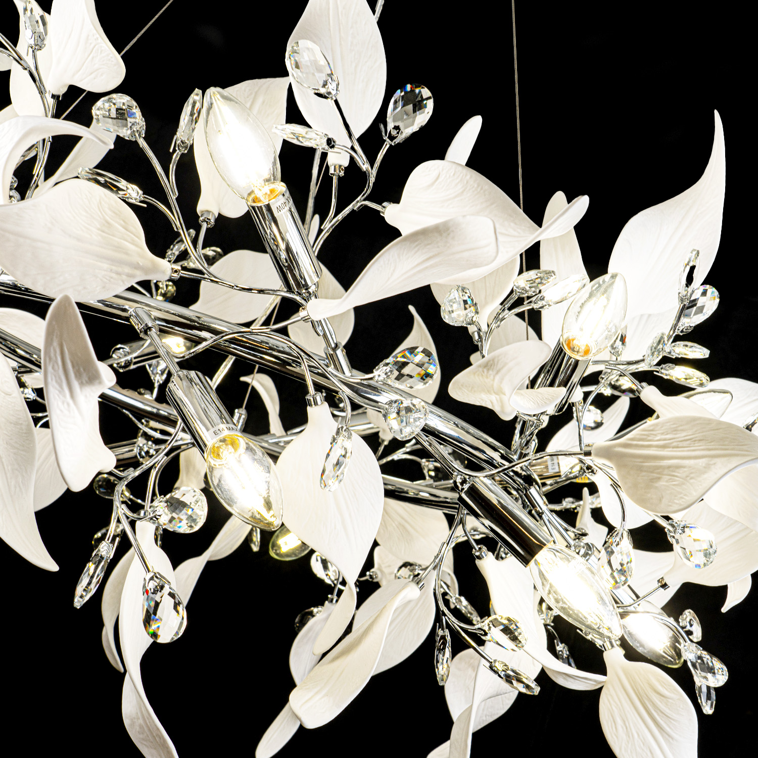 ML.6808.1000P CR (3).jpg