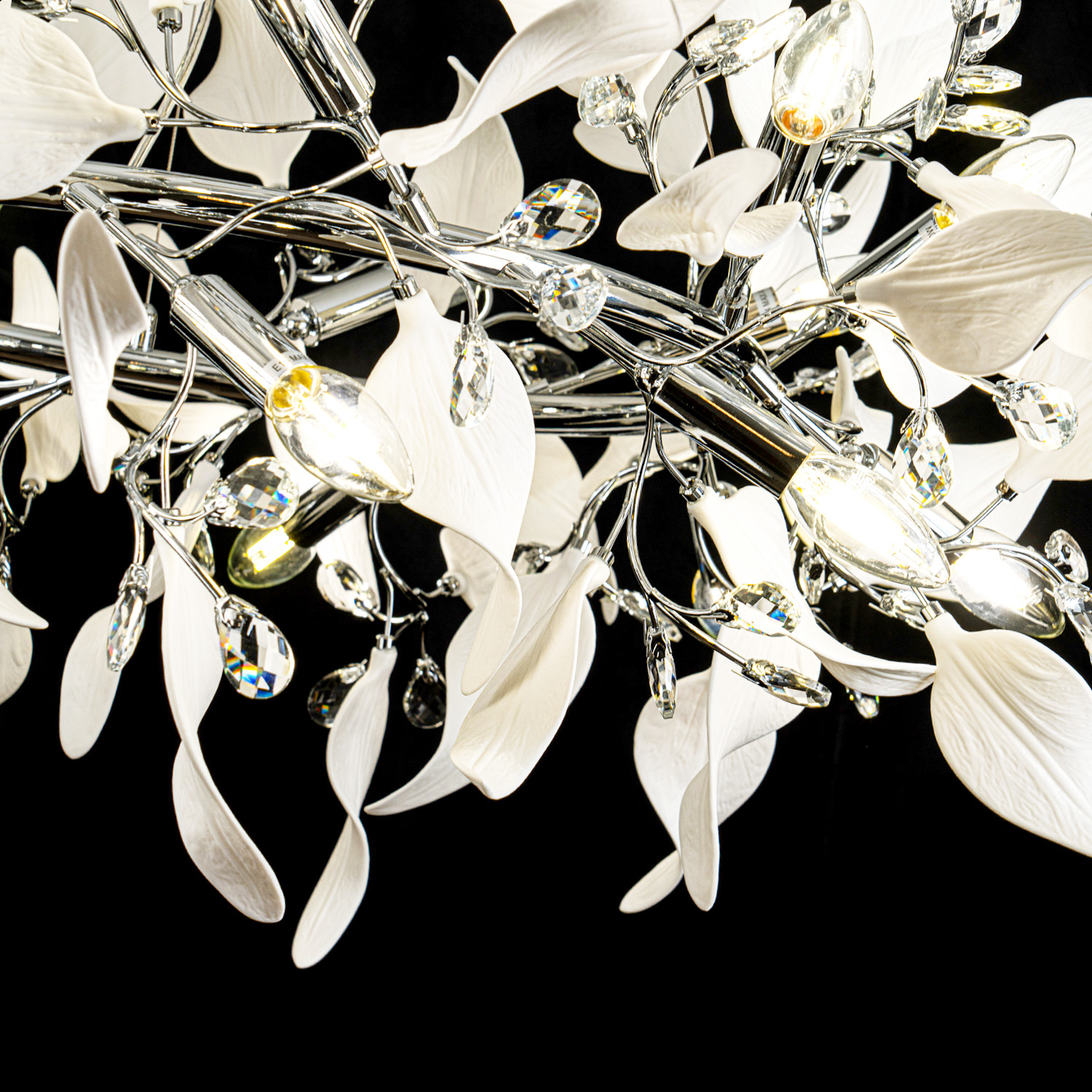 ML.6808.1000P CR (5).jpg