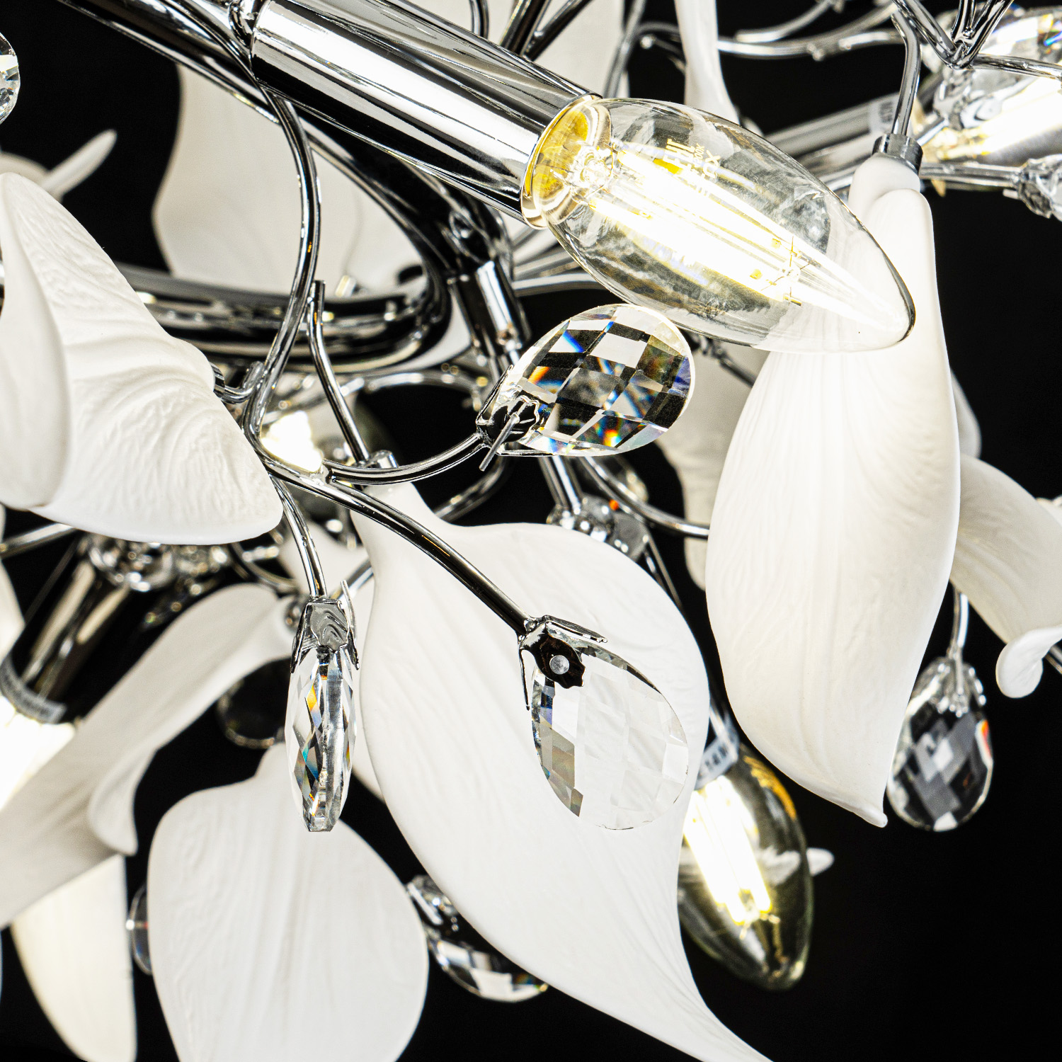 ML.6808.800P CR (6).jpg