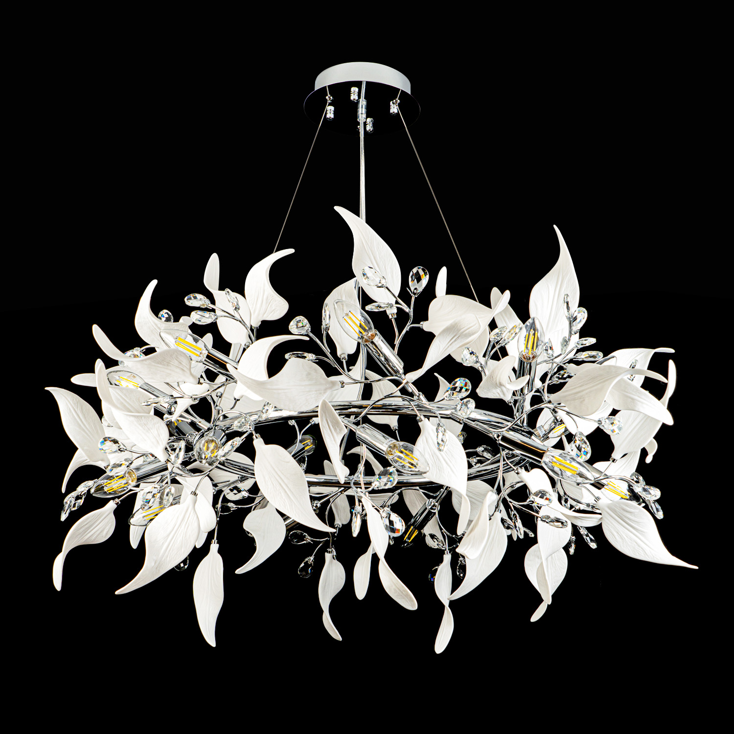 ML.6808.1000P CR (2).jpg