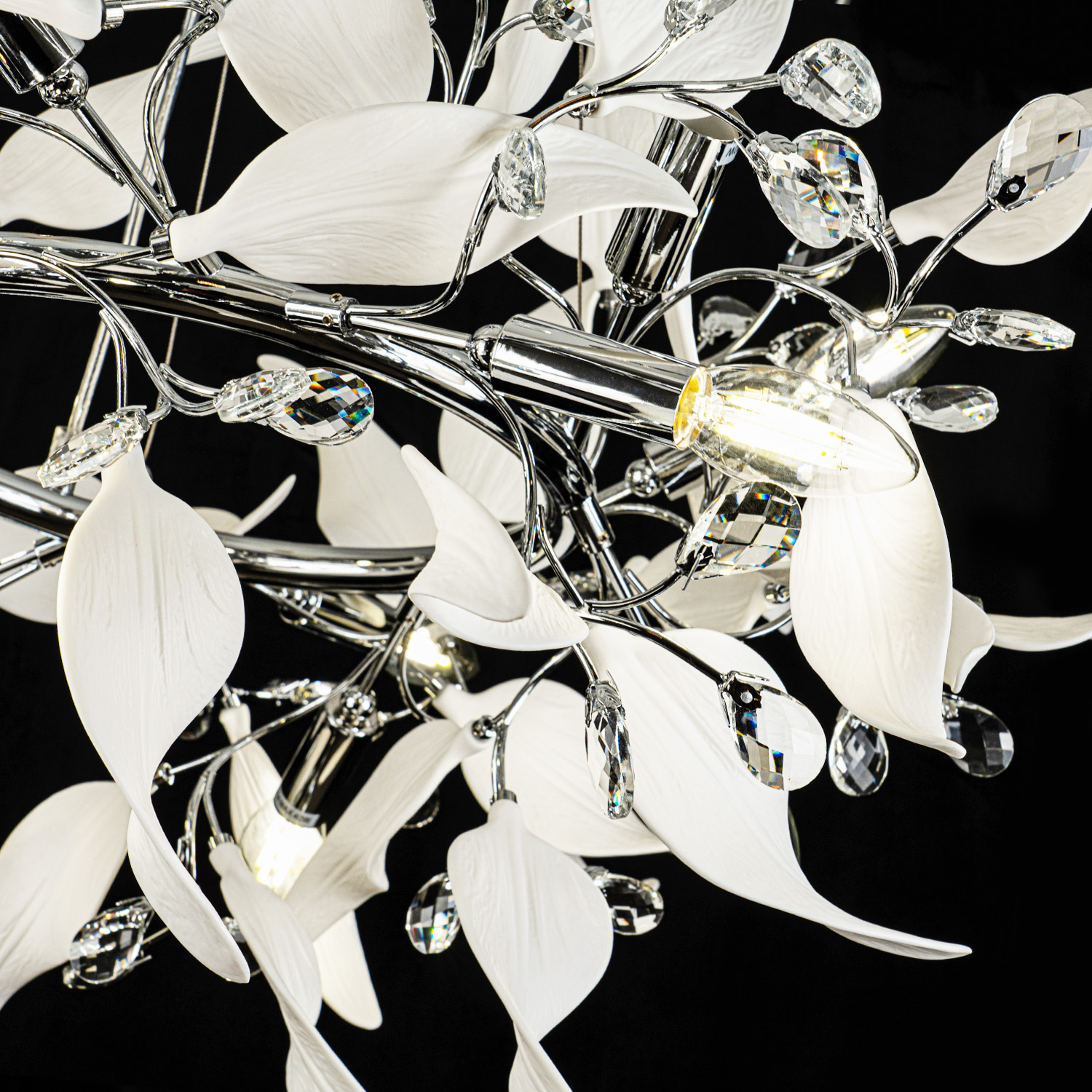 ML.6808.800P CR (5).jpg