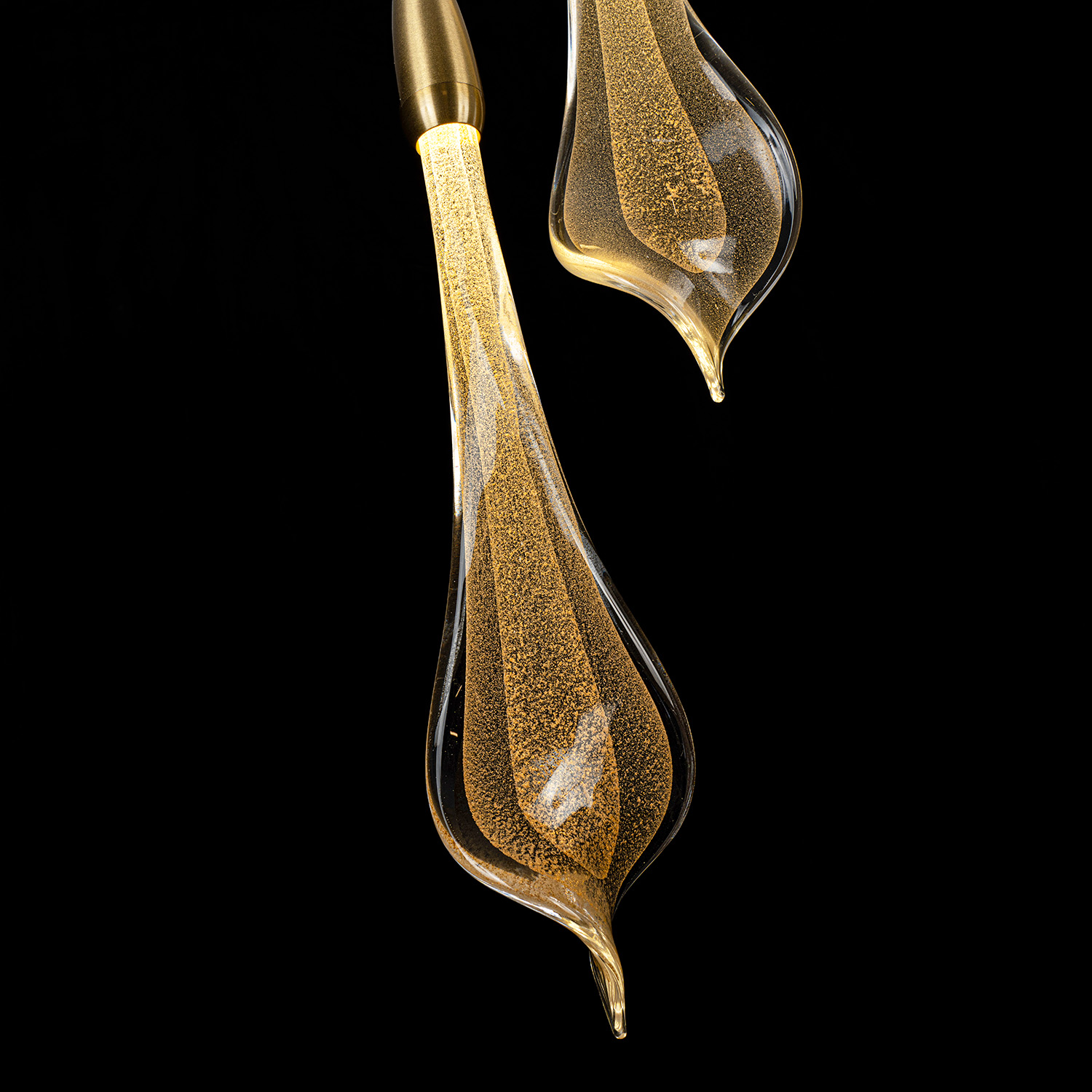 ML.89181.2 BS (4).jpg