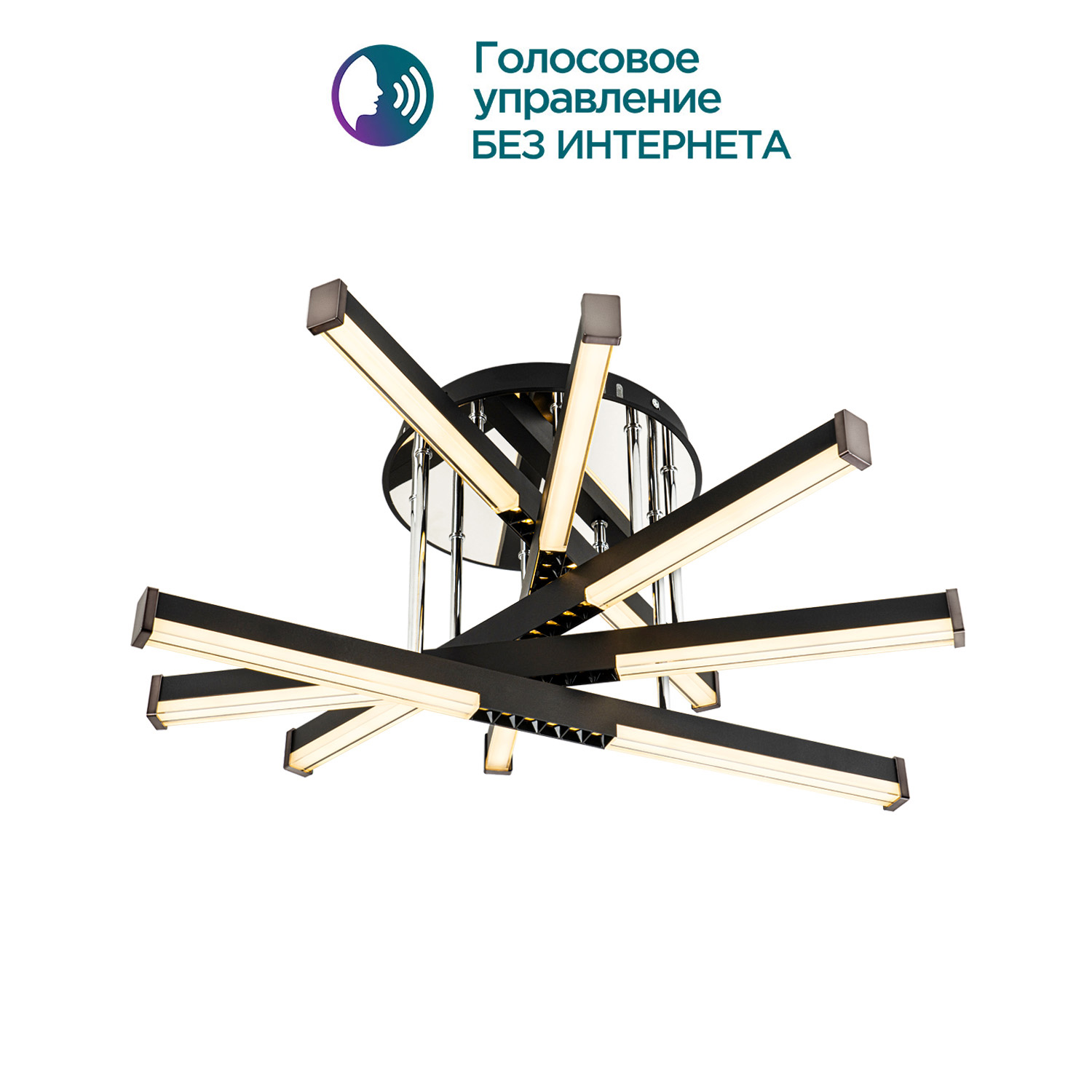 Потолочный светильник MODELIGHT MDL.9371.600CL BK