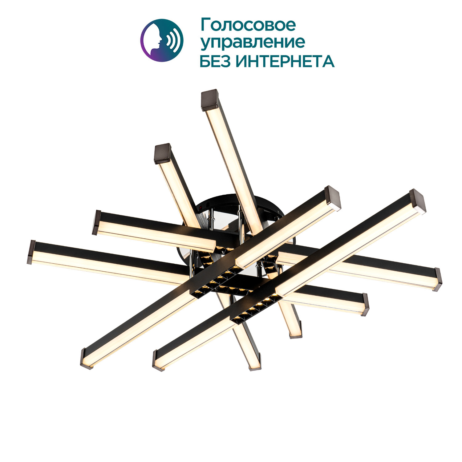 Потолочный светильник MODELIGHT MDL.9374.600CL BK