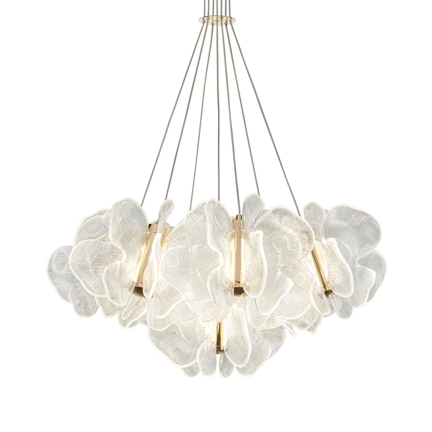 ML.6222.650 CP (2).jpg