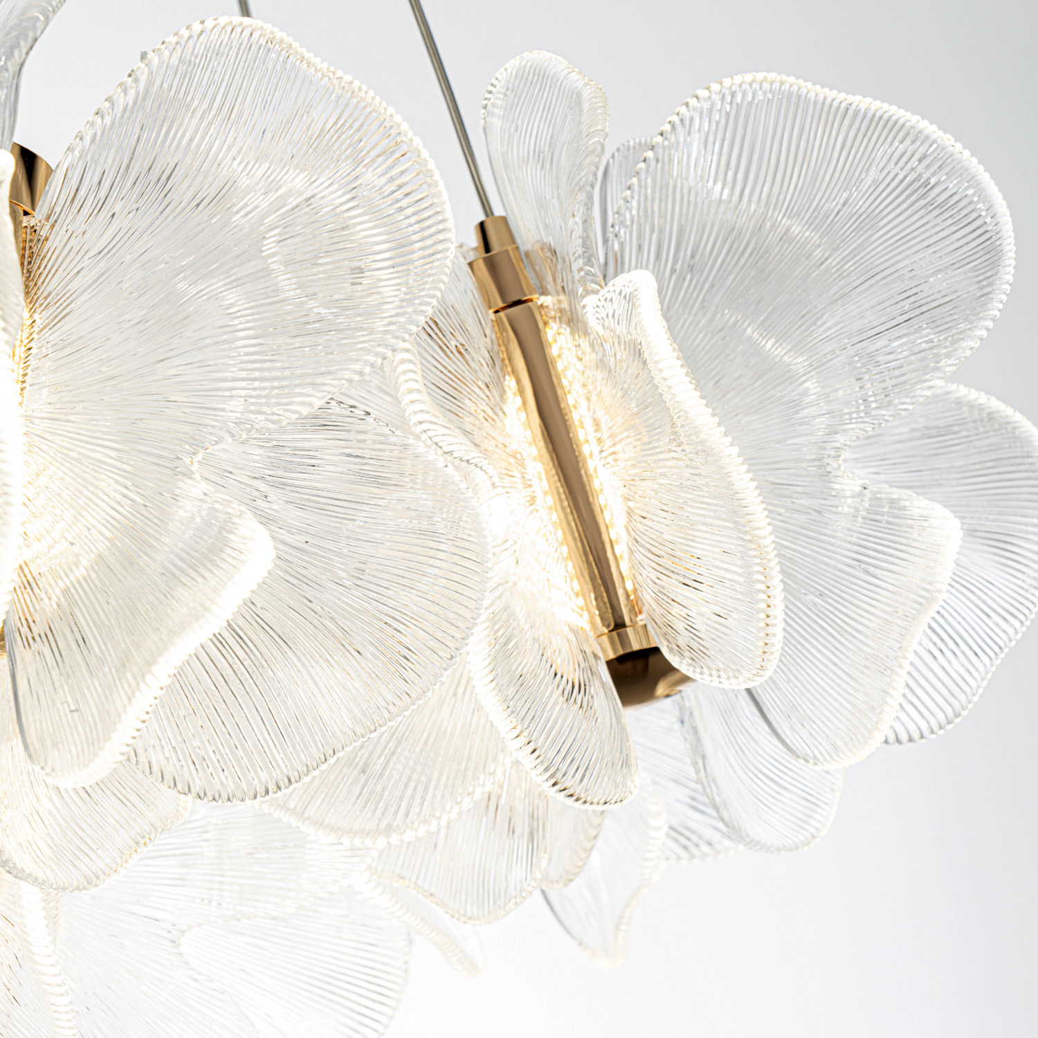 ML.6222.900 CP (6).jpg