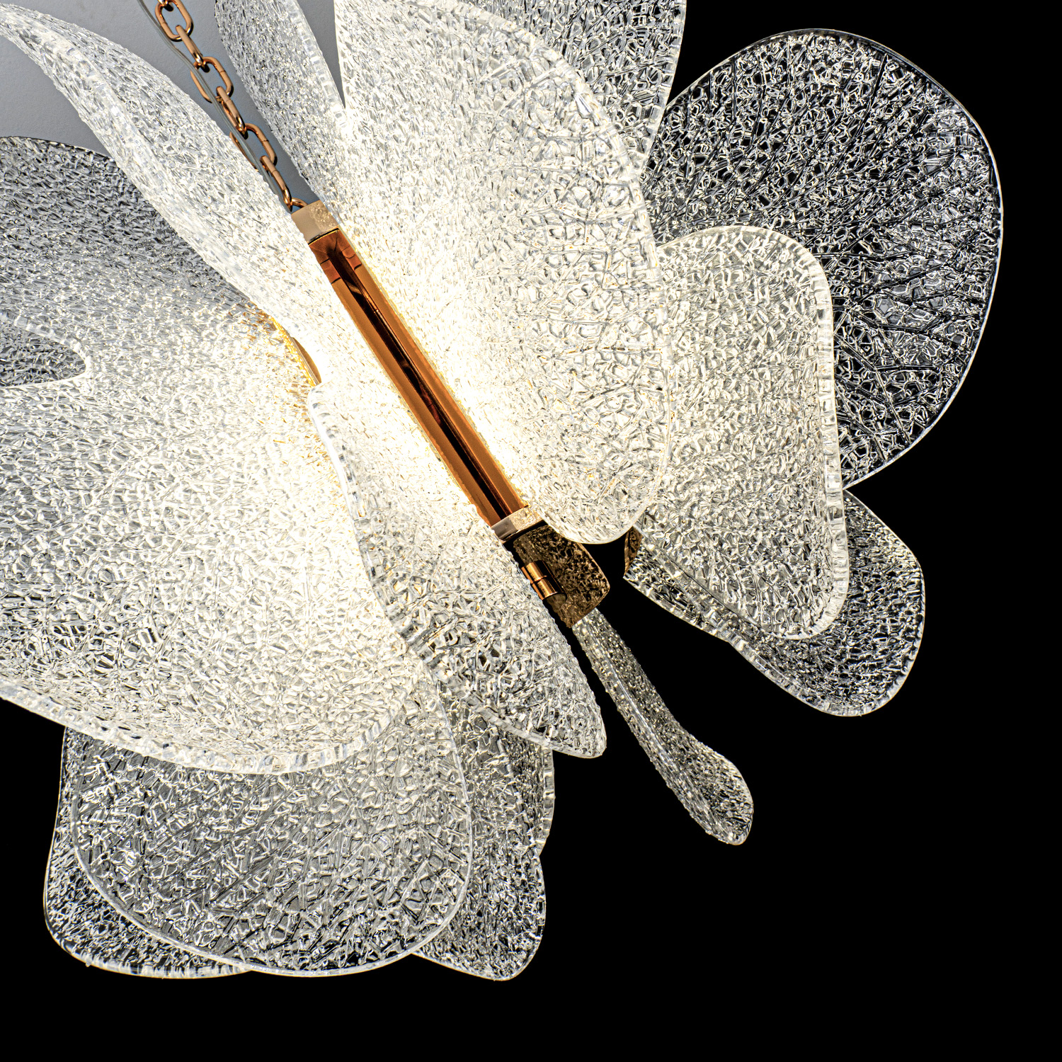 ML.6223.600 CP (7).jpg