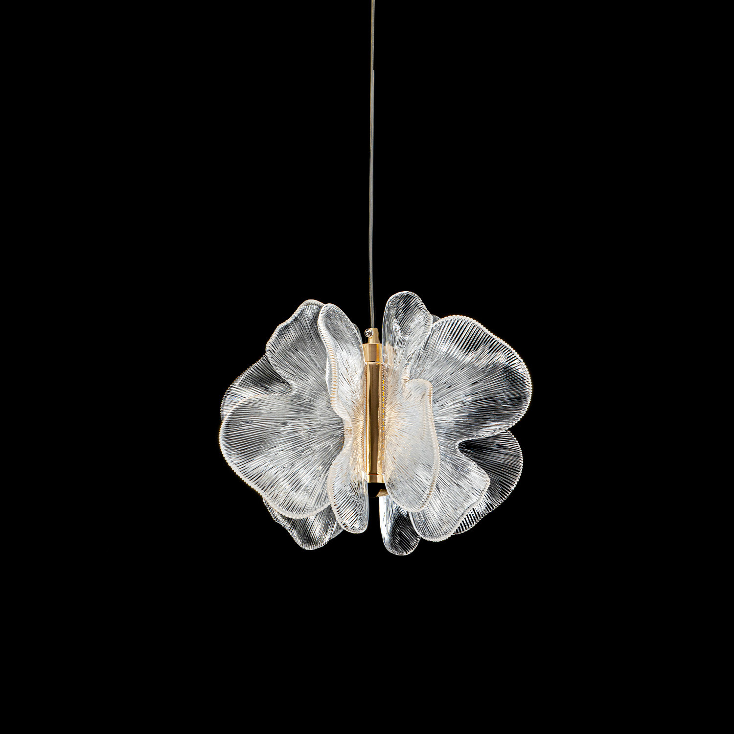 ML.6222.260 CP (3).jpg