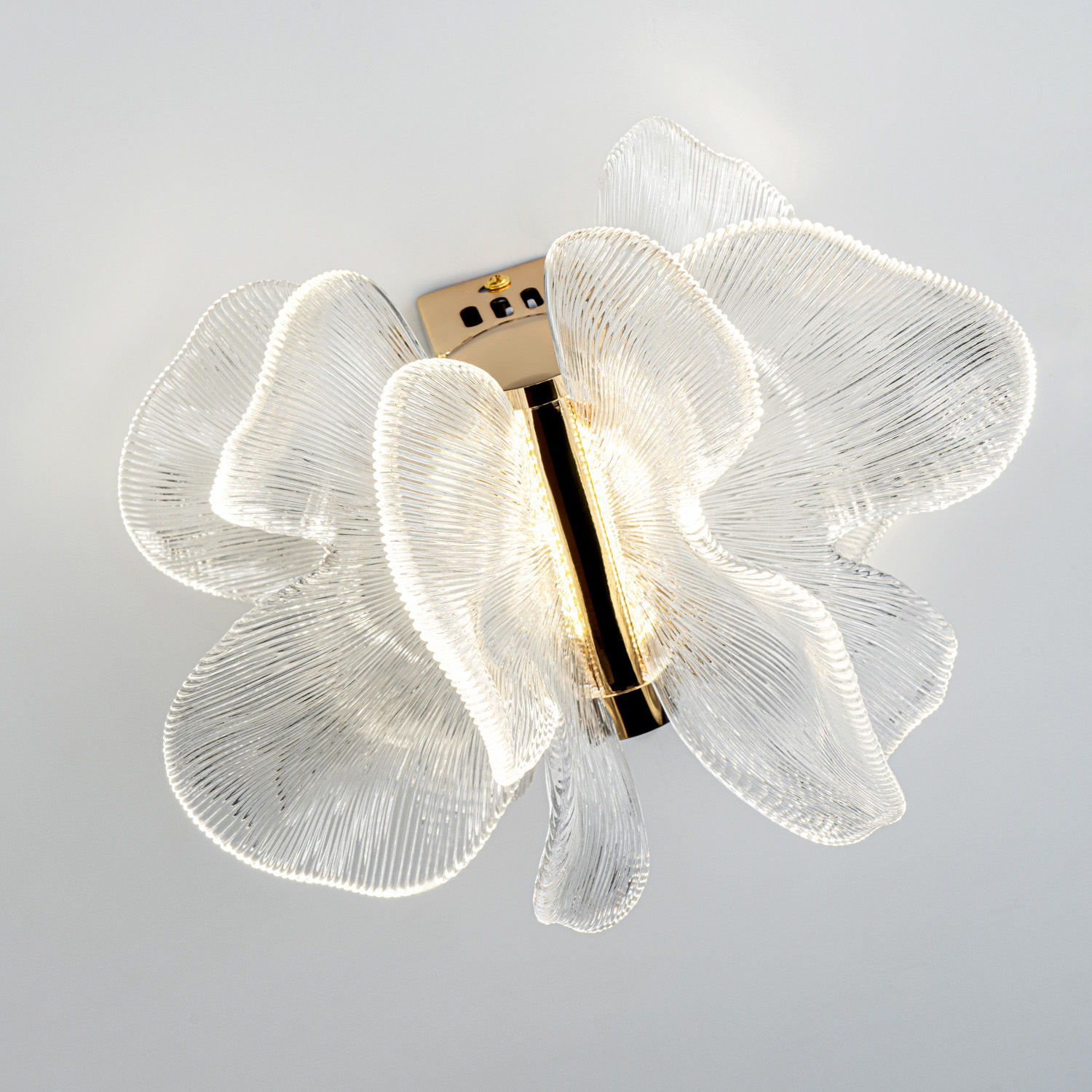 ML.6222.235 CP (4).jpg