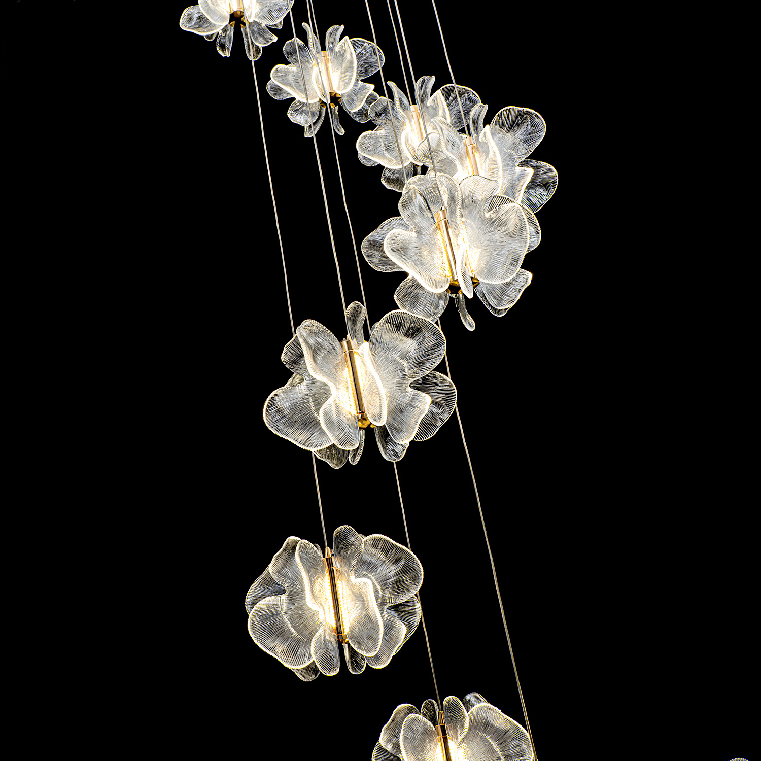 ML.6222.600 CP (3).jpg