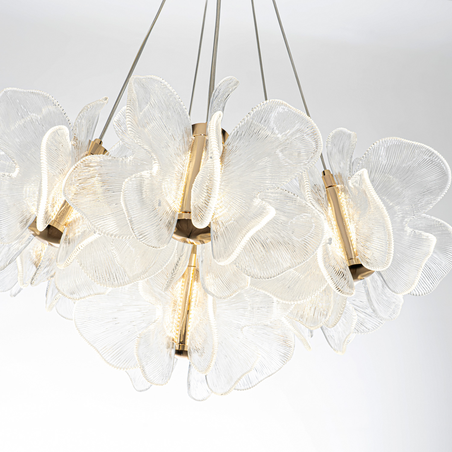 ML.6222.650 CP (5).jpg