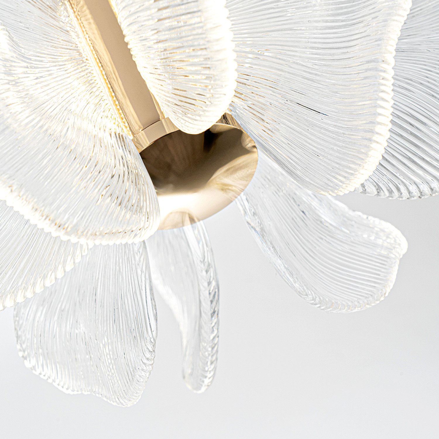 ML.6222.260 CP (6).jpg