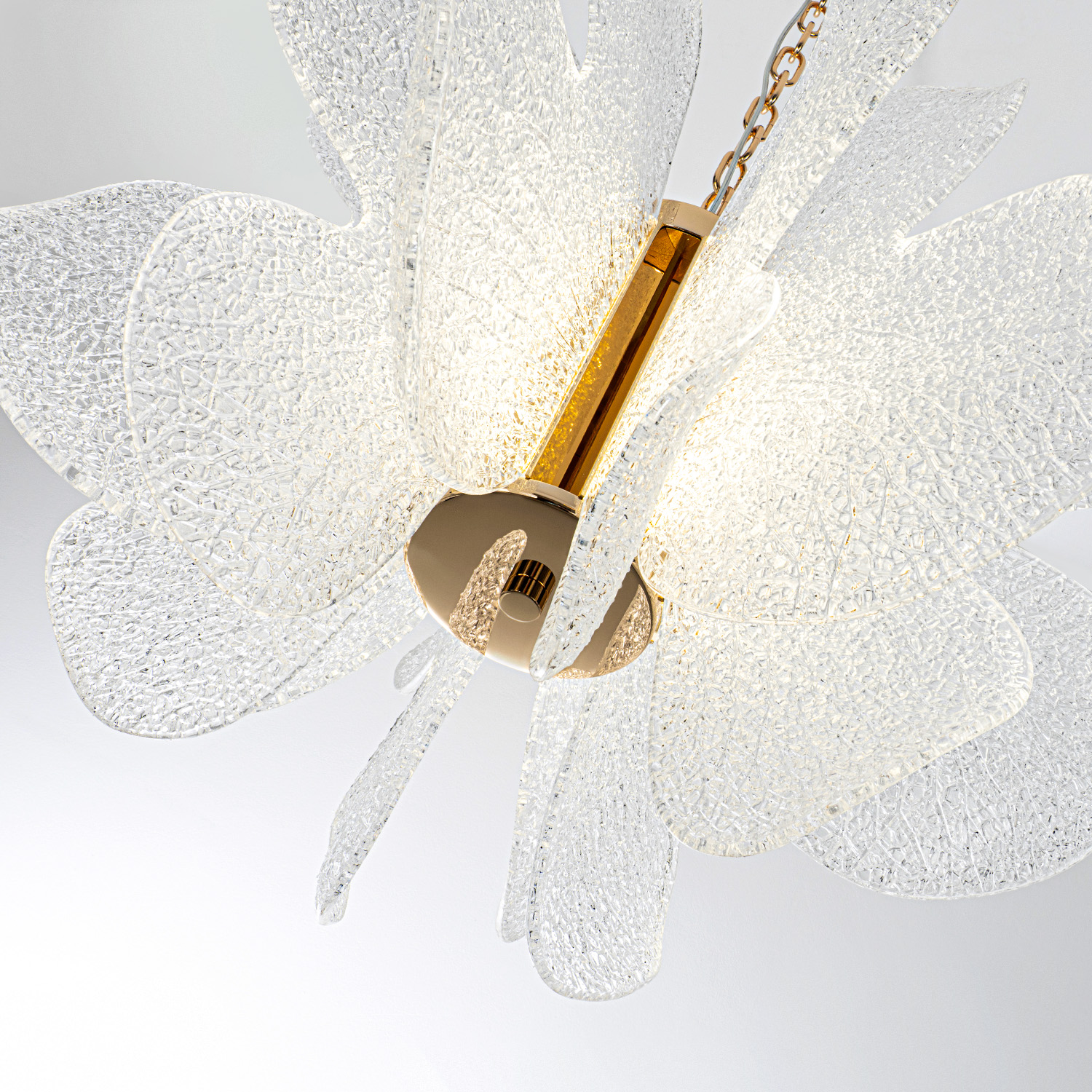 ML.6223.600 CP (5).jpg