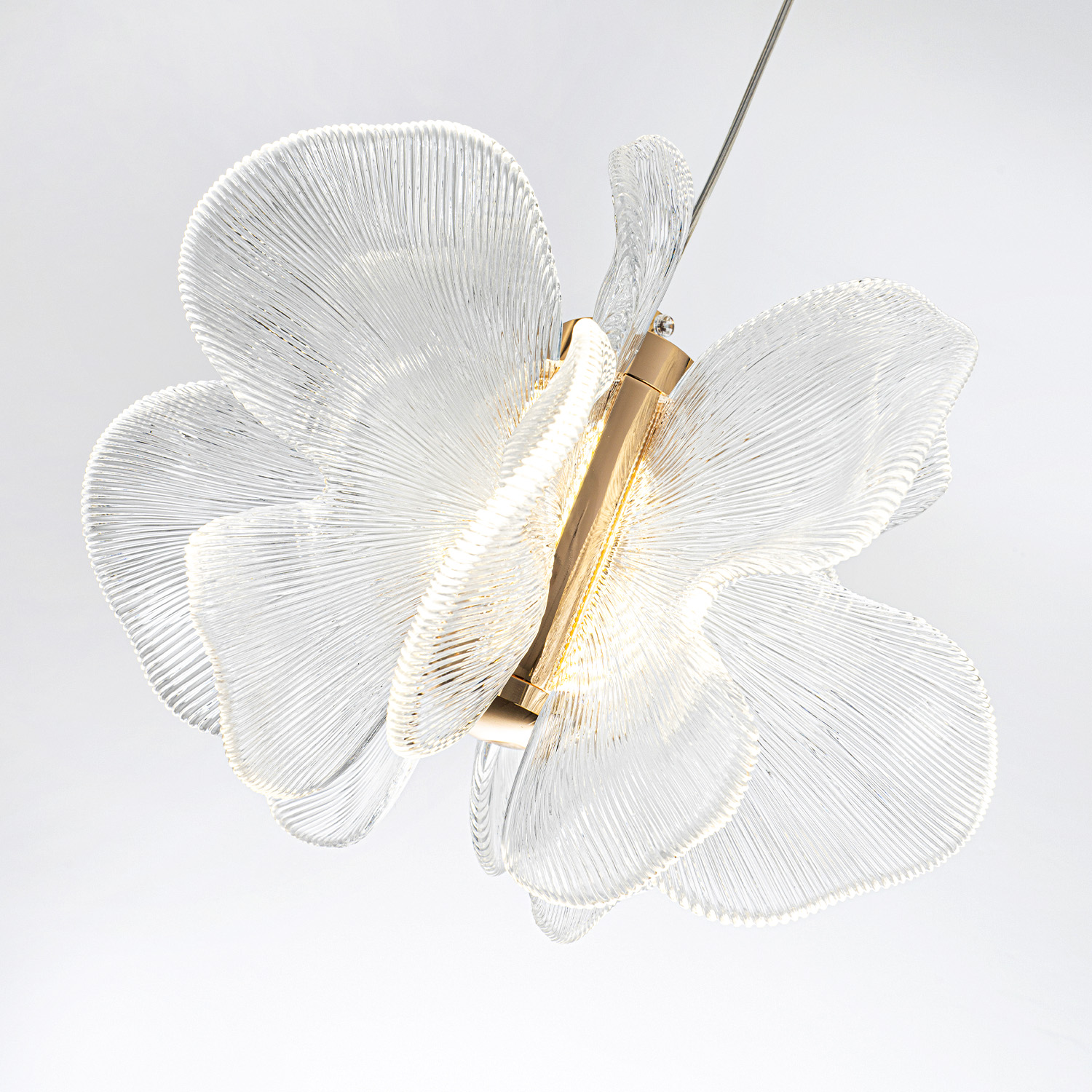 ML.6222.260 CP (4).jpg