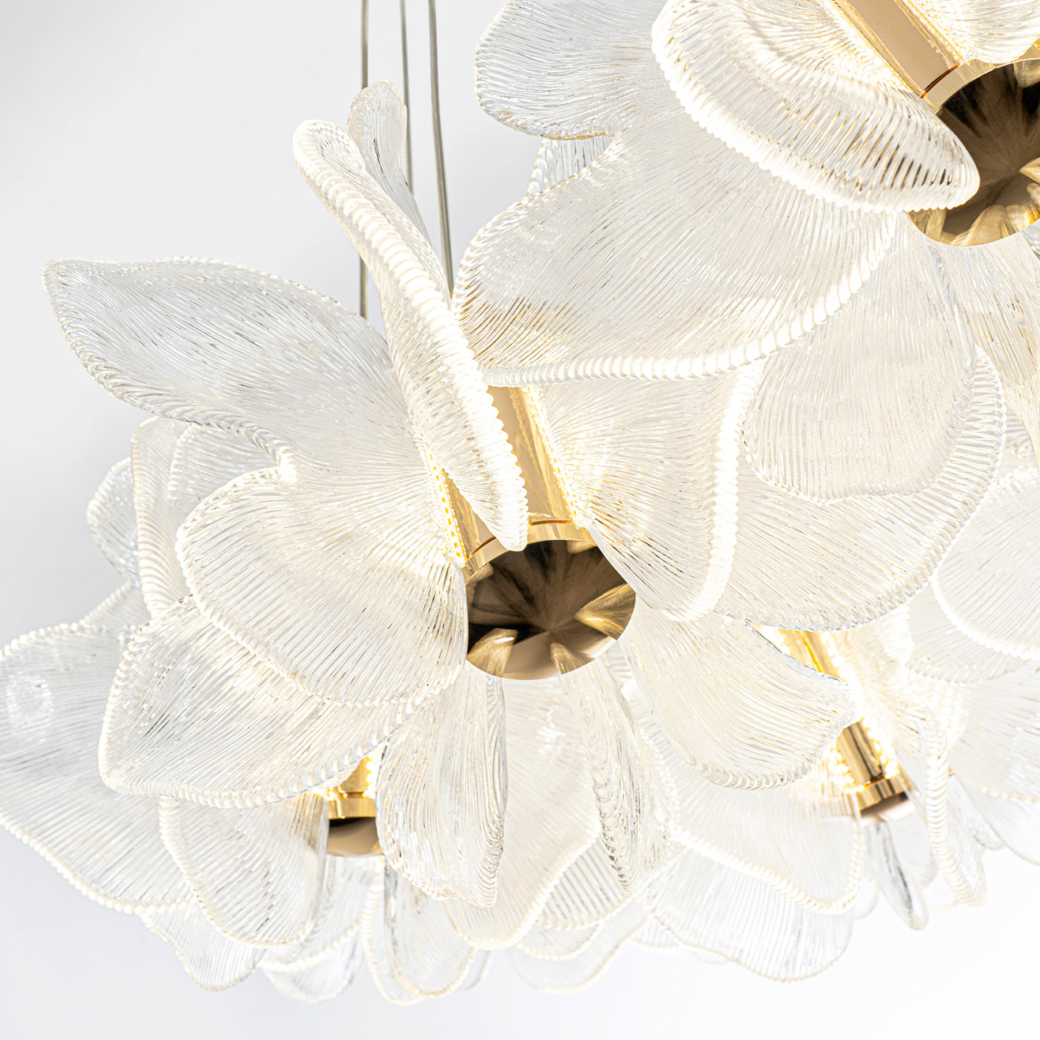 ML.6222.900 CP (4).jpg