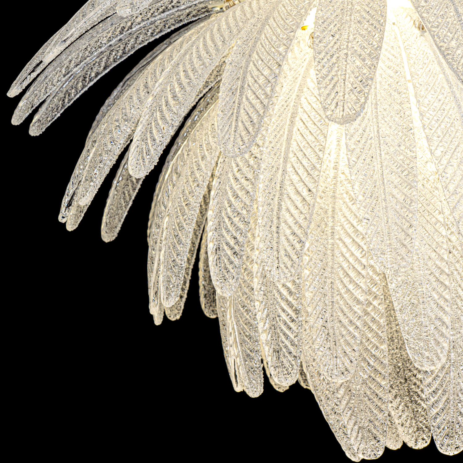 ML.2420.600 CP (5).jpg