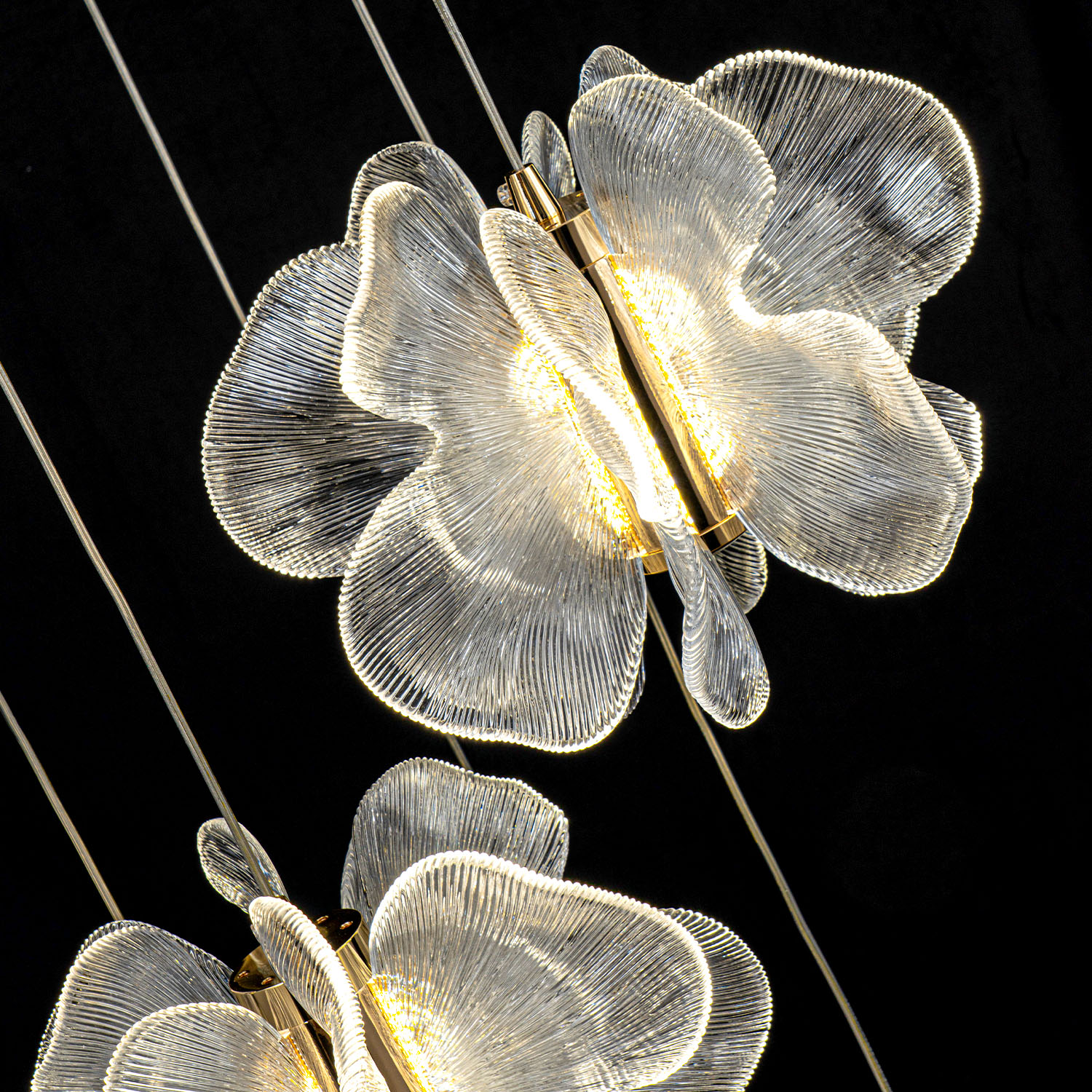 ML.6222.600 CP (5).jpg