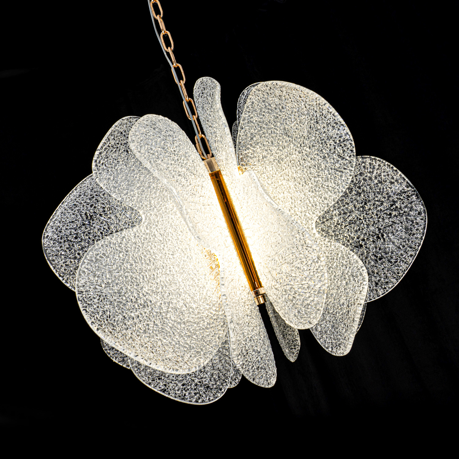 ML.6223.600 CP (6).jpg