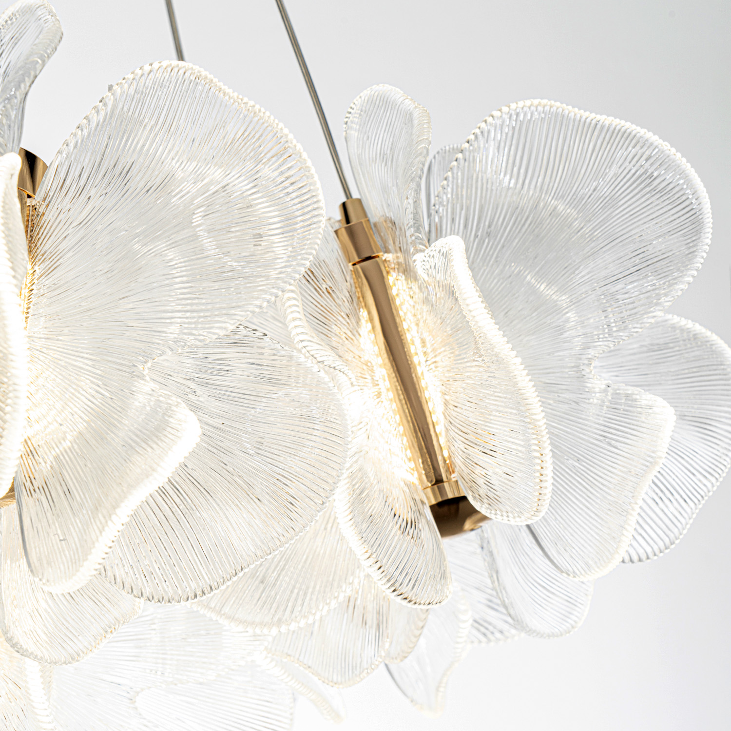 ML.6222.650 CP (6).jpg