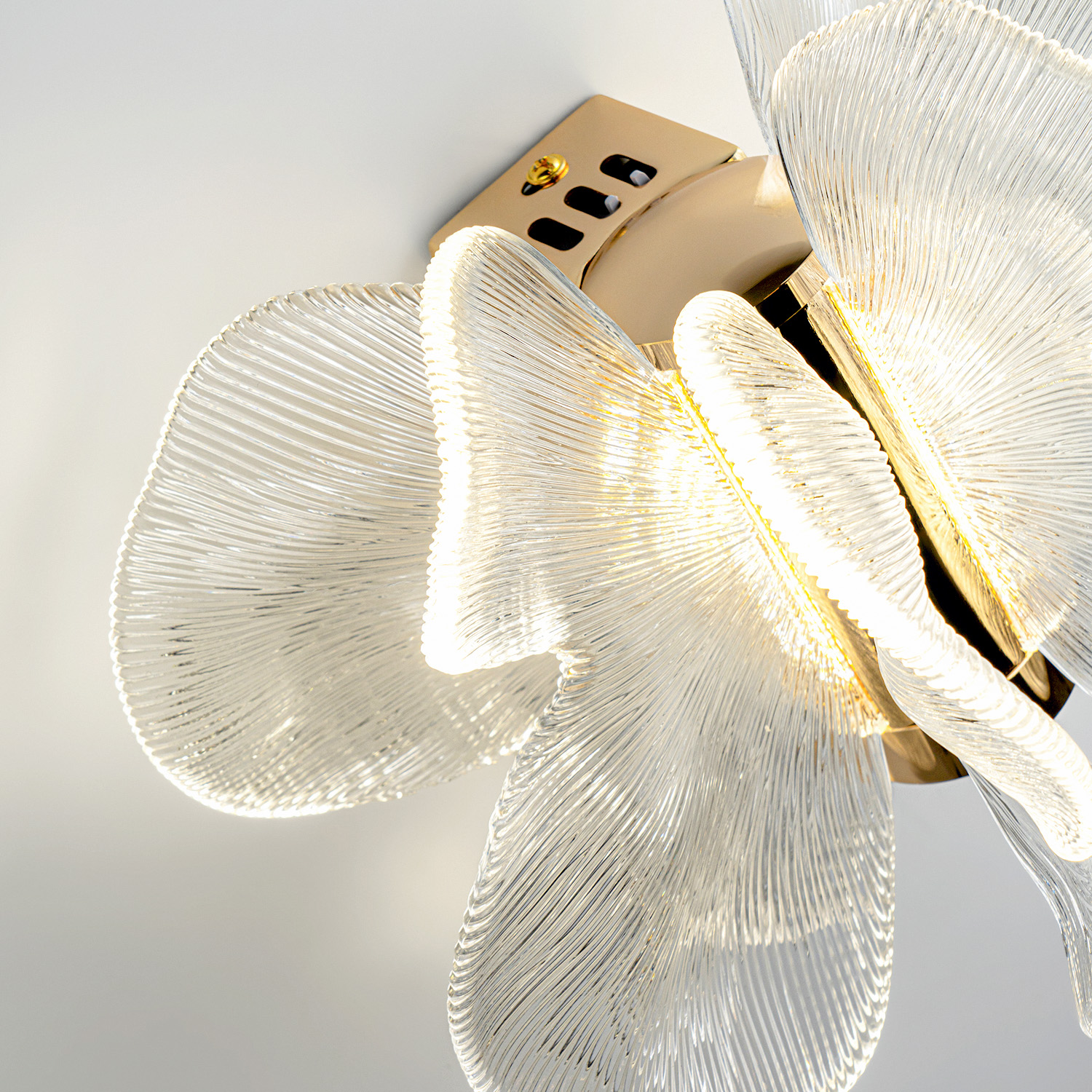 ML.6222.235 CP (5).jpg