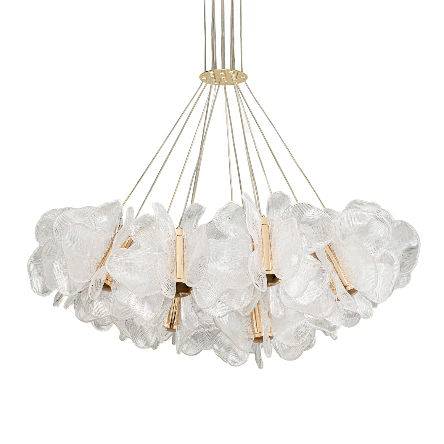 ML.6222.900 CP (3).jpg