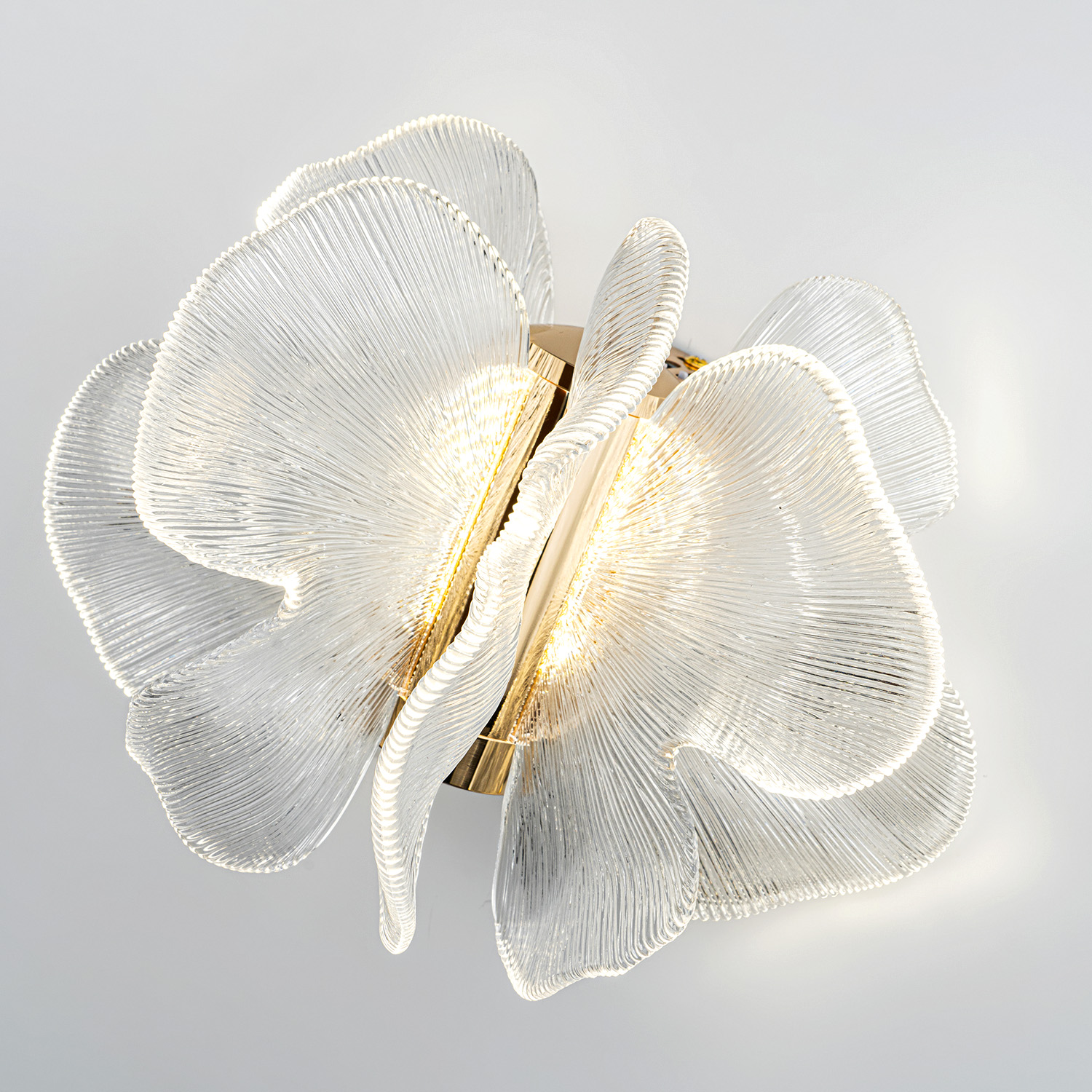 ML.6222.235 CP (3).jpg