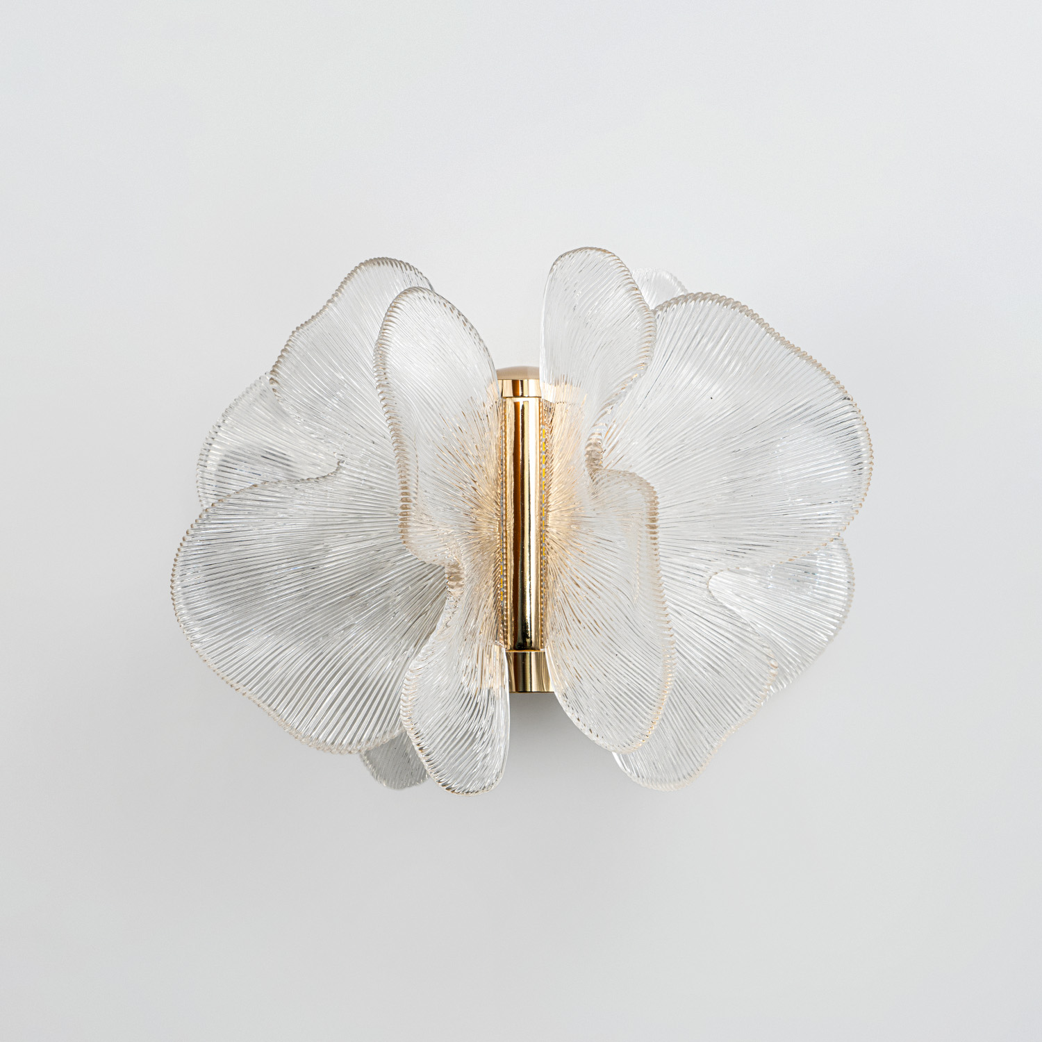 ML.6222.235 CP (2).jpg