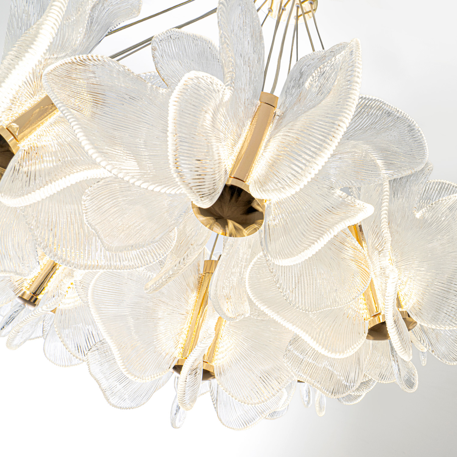 ML.6222.900 CP (5).jpg