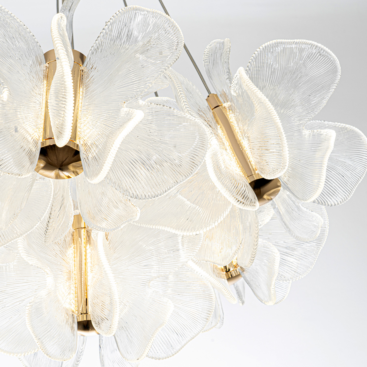 ML.6222.650 CP (4).jpg