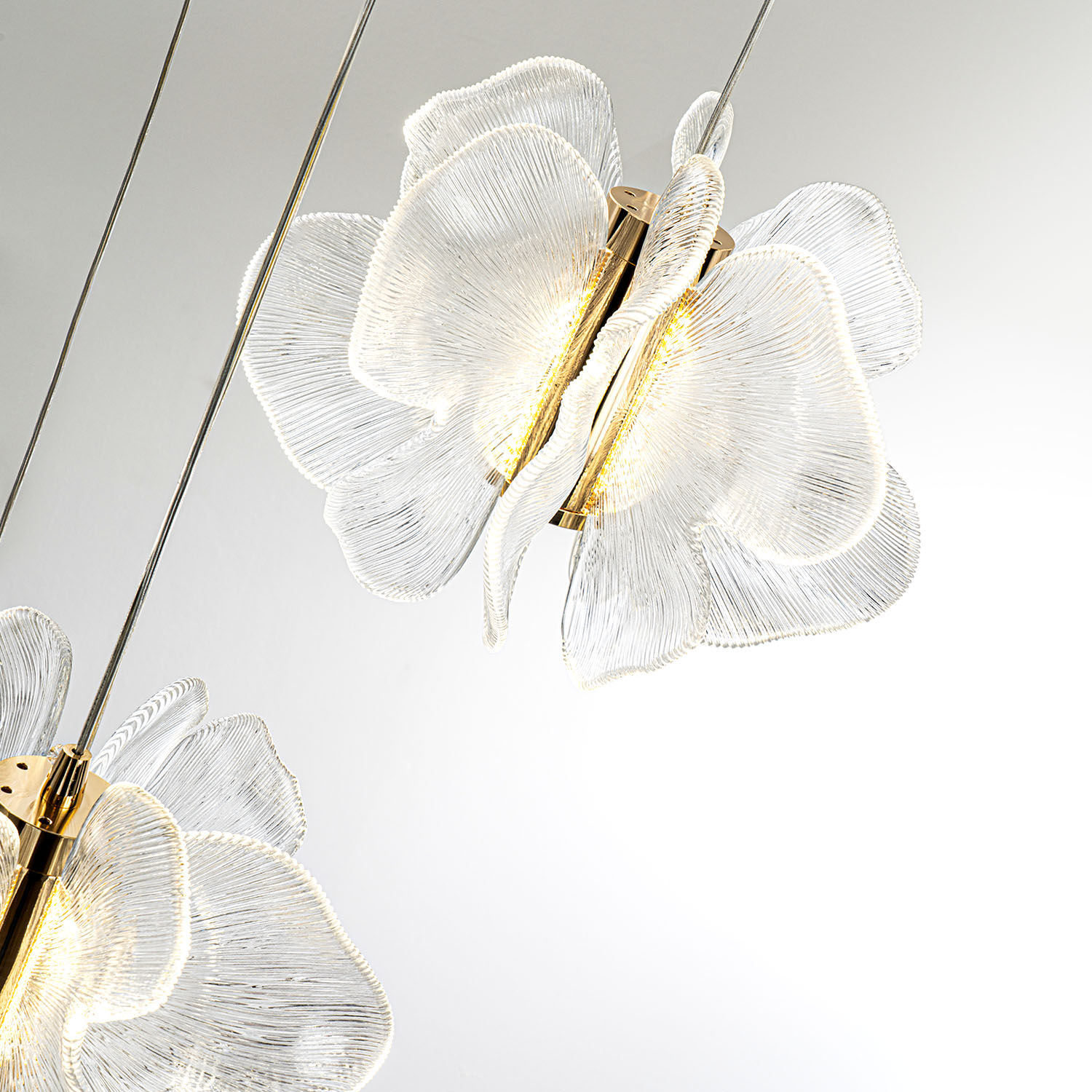 ML.6222.600 CP (7).jpg