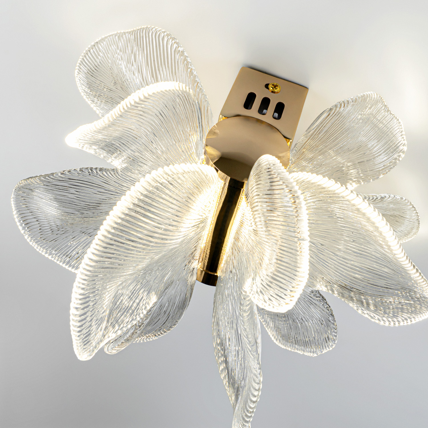 ML.6222.235 CP (6).jpg