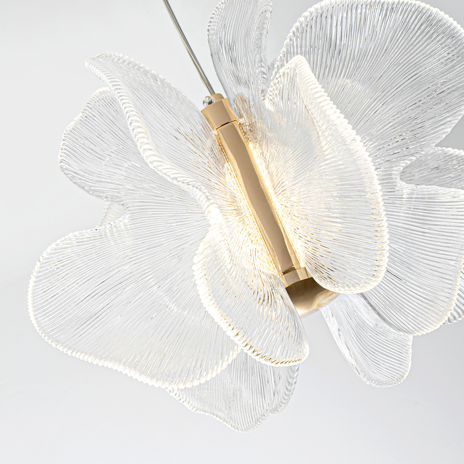 ML.6222.260 CP (5).jpg