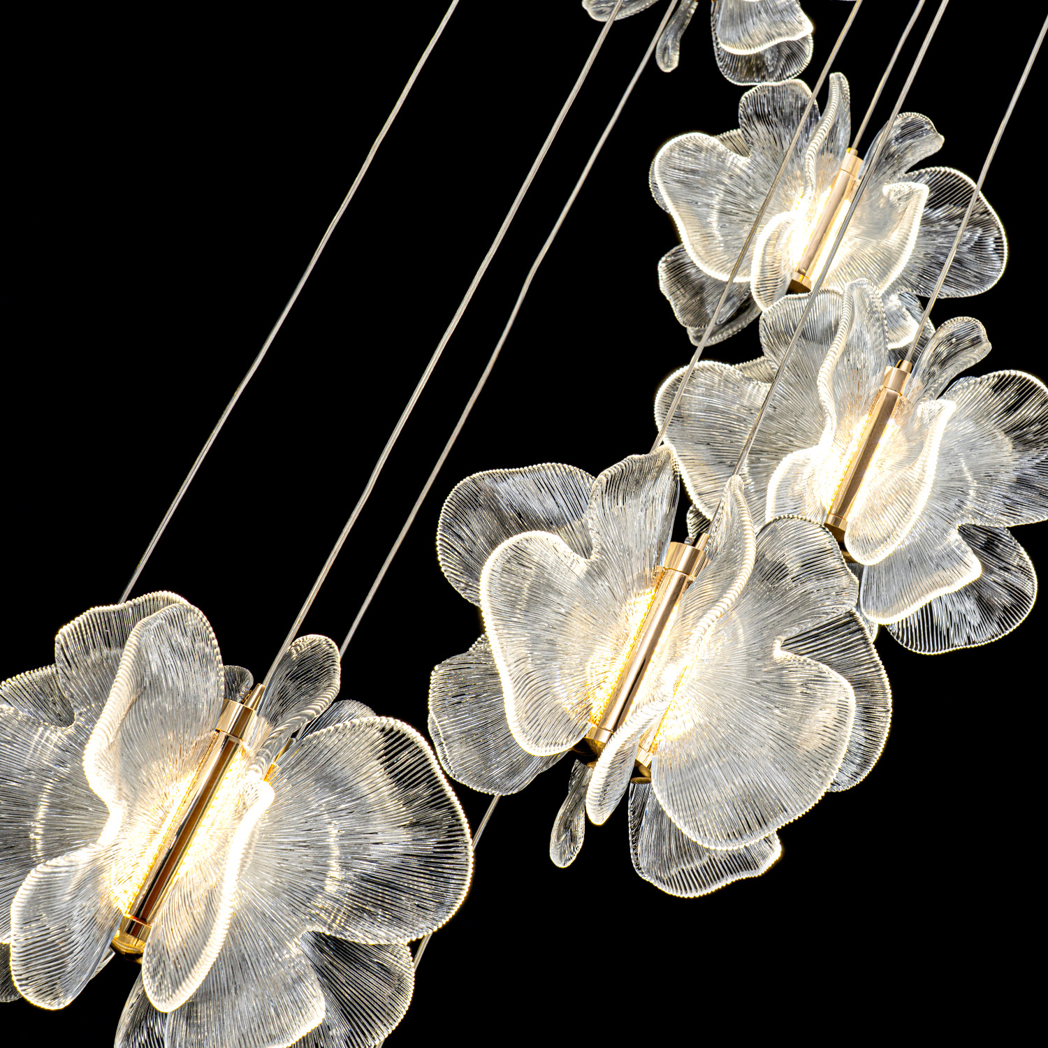 ML.6222.600 CP (4).jpg