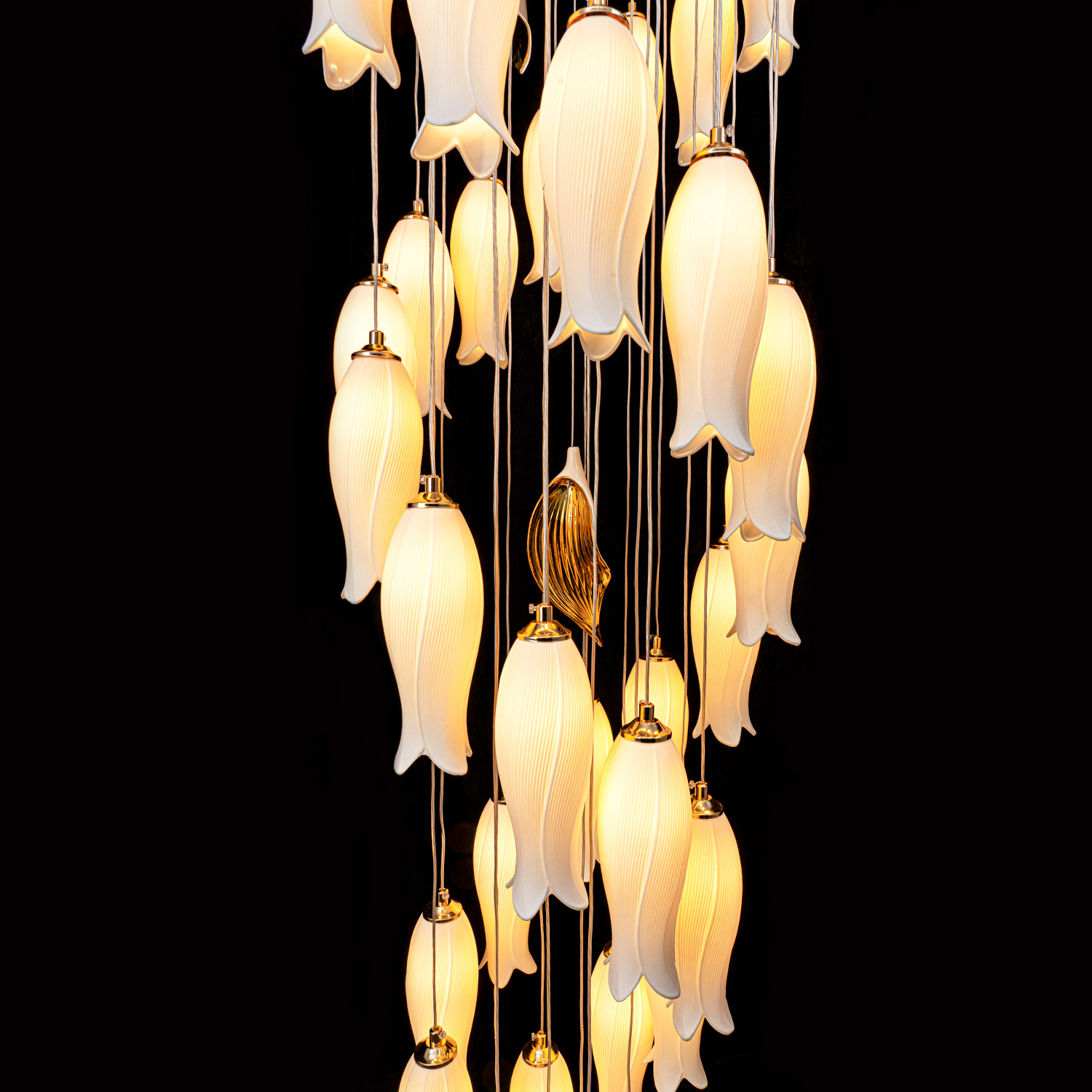 ML.8868.48 WH (5).jpg