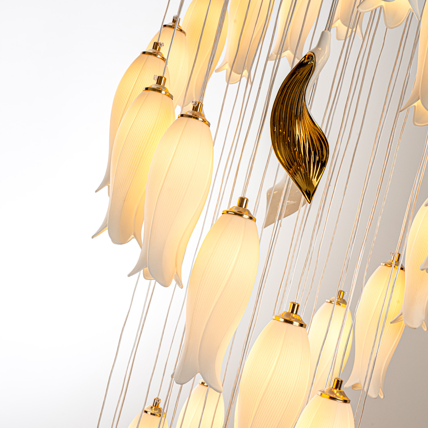 ML.8868.48 WH (8).jpg