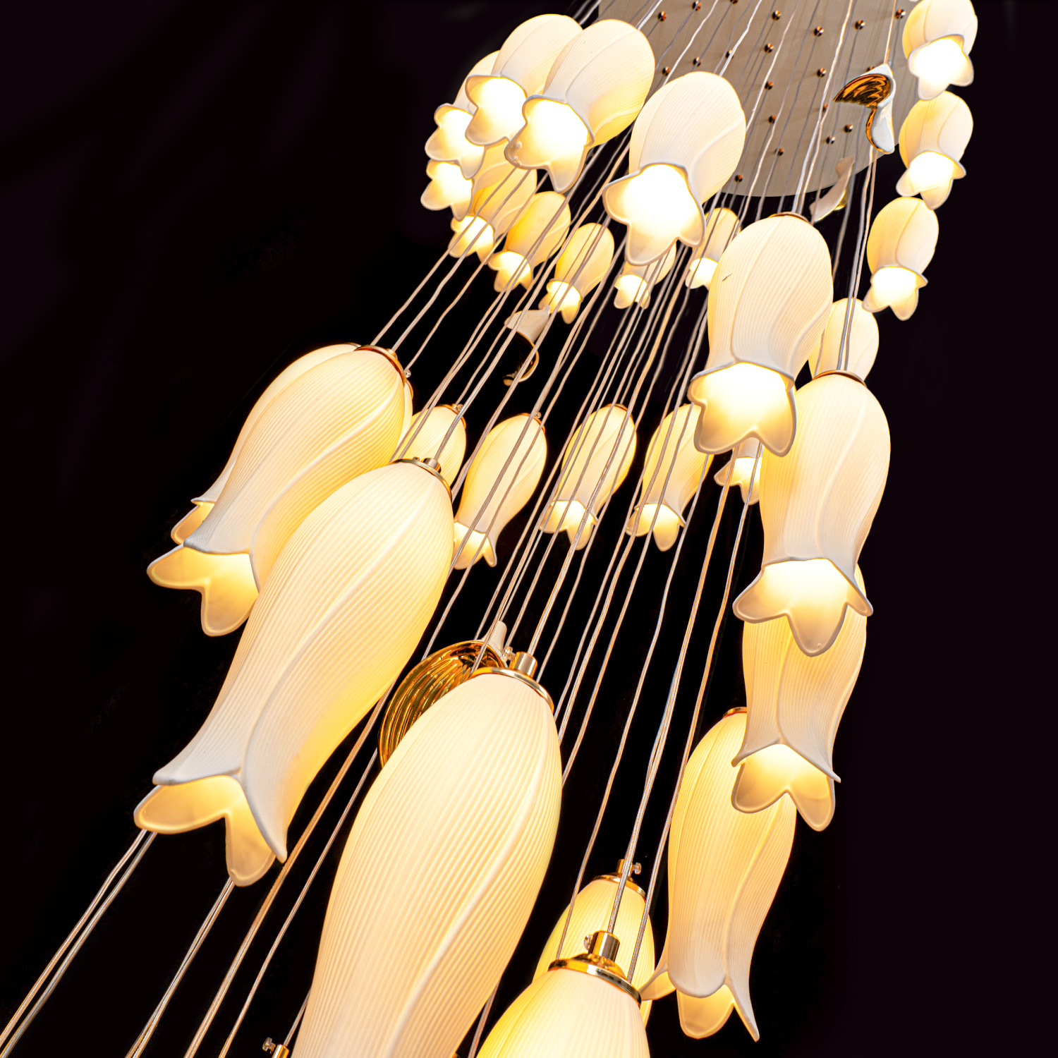 ML.8868.48 WH (4).jpg