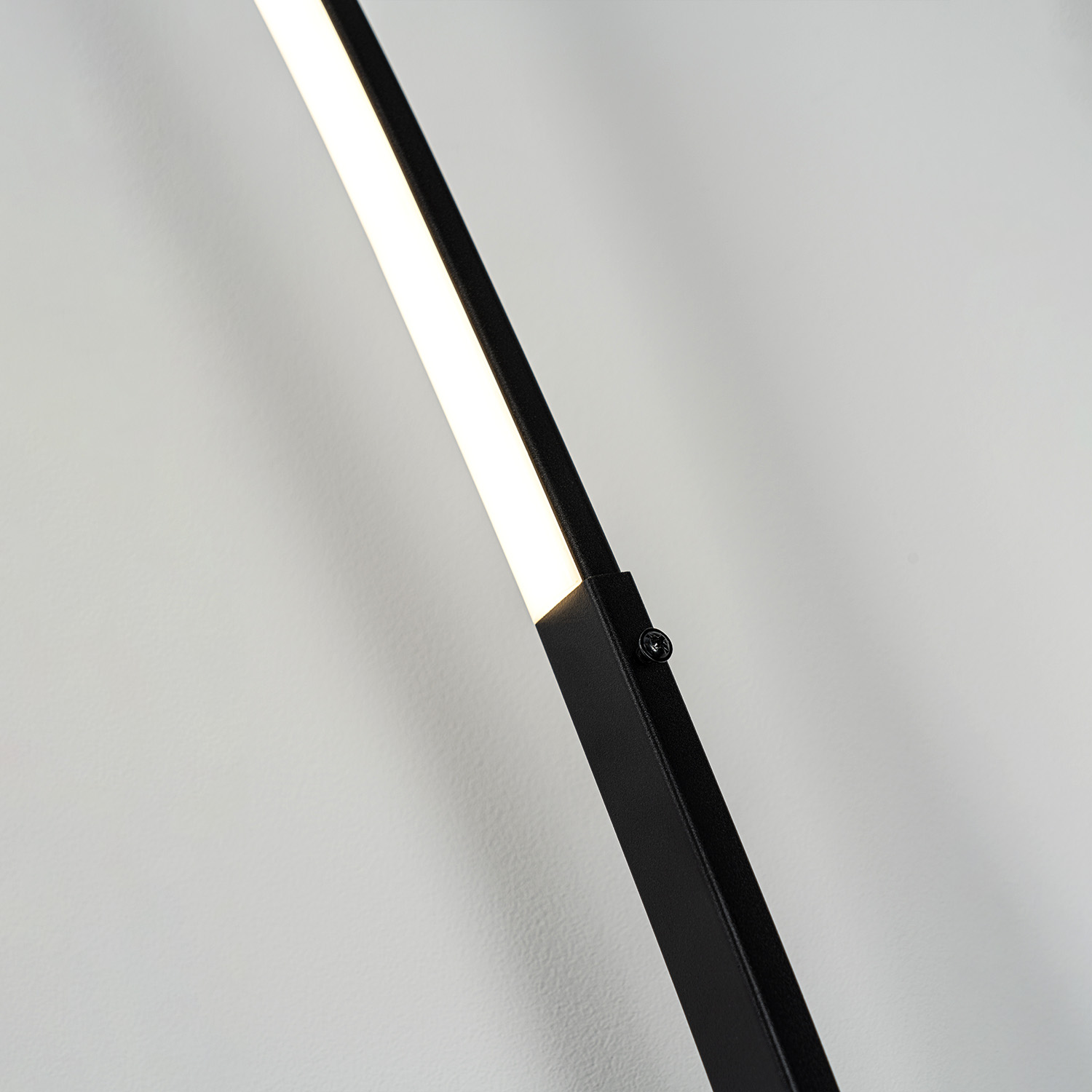 MD.6801.01FL (4).jpg