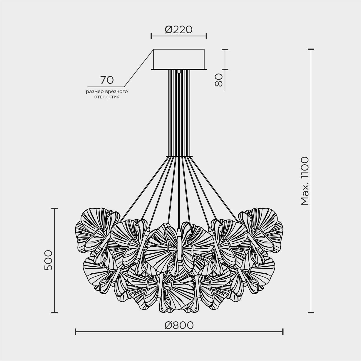 ML.6222.900 CP.jpg
