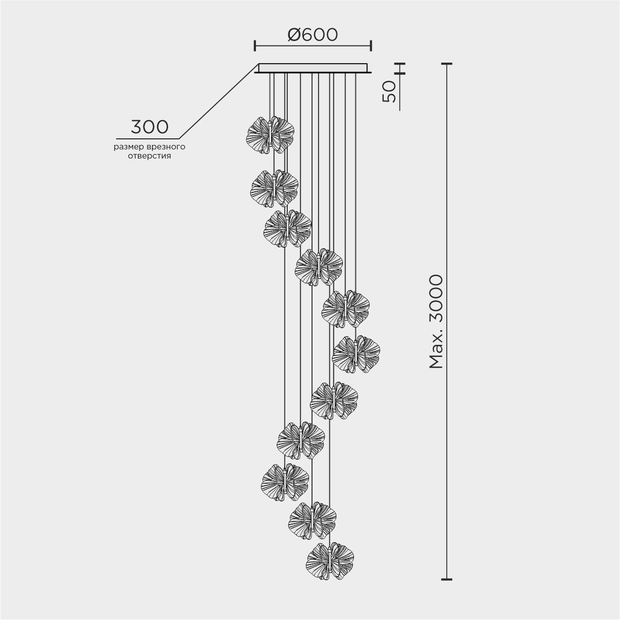 ML.6222.600 CP.jpg